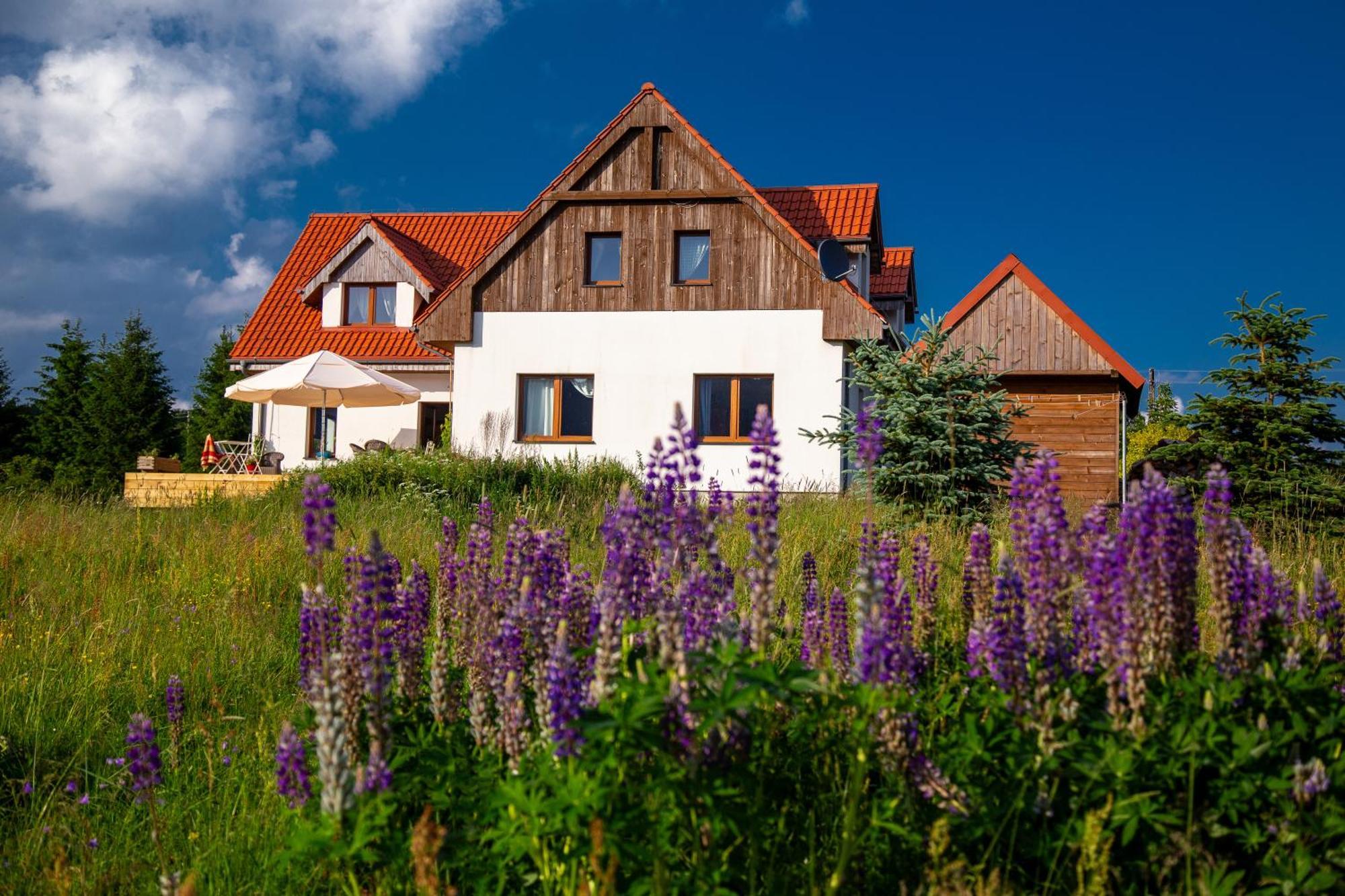 Przystanek Lasowka Buitenkant foto